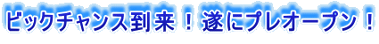 ビックチャンス到来!遂にプレオープン!